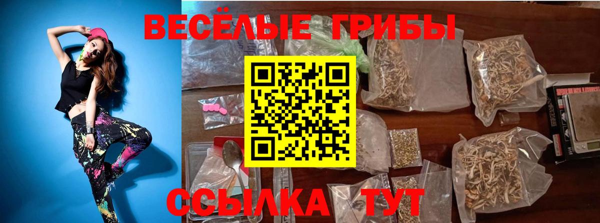 Псилоцибиновые грибы Cubensis  Вход с VPN  Электросталь 